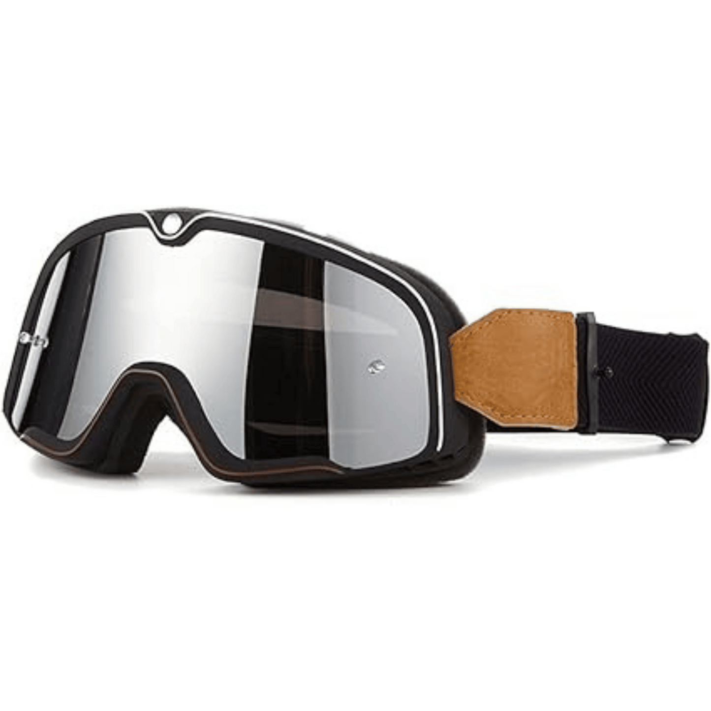 Dens Goggles 1